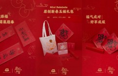 黑马童装品牌MiniBalabala 斩获天猫母婴3项大奖！