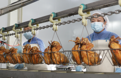 德州扒鸡哪家正宗？凤起牌扒鸡三十年传承技艺成行业新宠