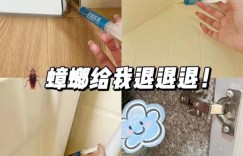 蟑螂药什么牌子好用，绝杀的那种？一文告诉你怎么灭蟑螂